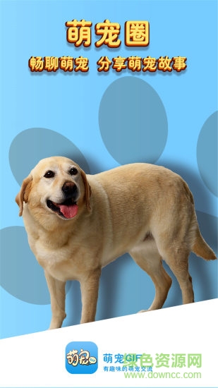 萌寵gif v1.0.15 安卓版 3
