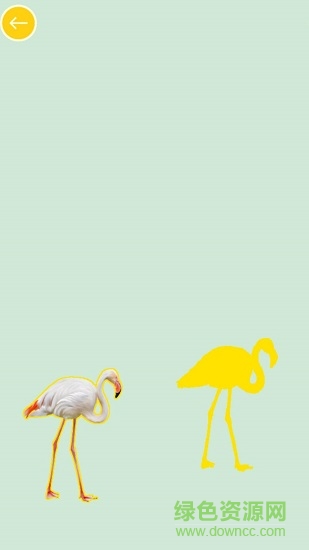 兒童學(xué)動物和顏色 v1.0.0 安卓版 3