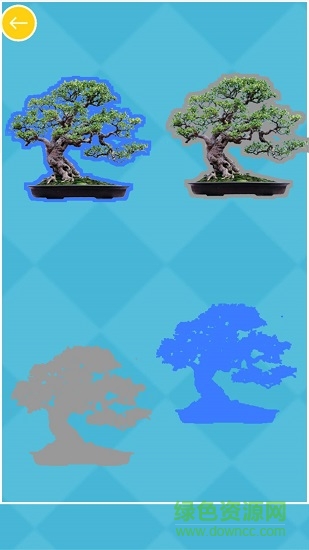 兒童認(rèn)植物顏色 v1.0.0 安卓版 0