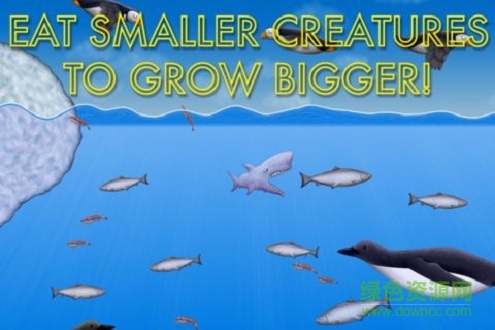 美味海洋2無限鉆石版 v1.3.4.0 安卓完整版 0