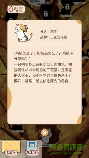 貓宅97下載