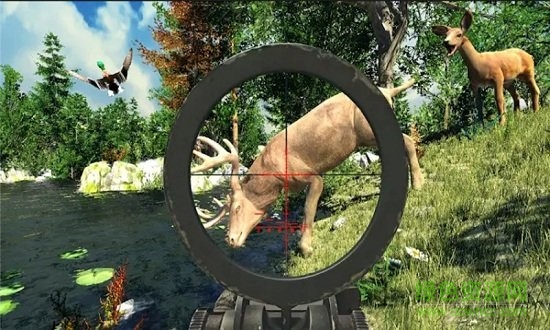 全民捕獵大戰(zhàn) v1.0 安卓版 0