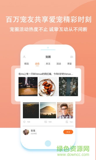 大派寵物 v0.9.1 安卓版 1