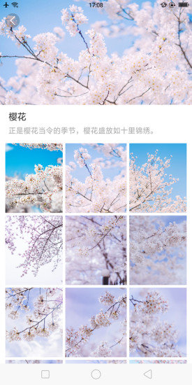 大腳壁紙 v1.0.0 安卓版 0
