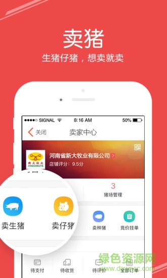 國家生豬市場0