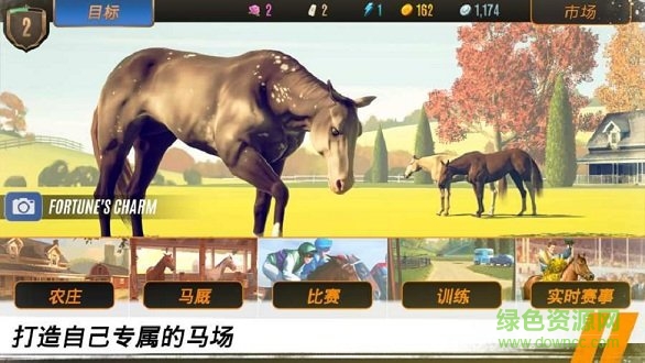 家族傳奇馬匹養(yǎng)成競技無限金幣版 v1.5 安卓版 0