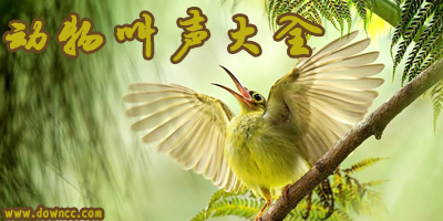 所有動(dòng)物叫聲大全mp3-動(dòng)物叫聲mp3-各種動(dòng)物的叫聲音頻下載