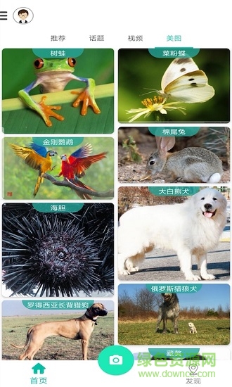 天天識別 天天識別下載