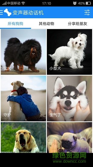 貓狗變聲器app下載