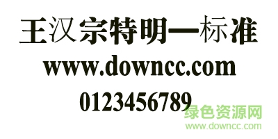 王漢宗特明體—標(biāo)準(zhǔn)