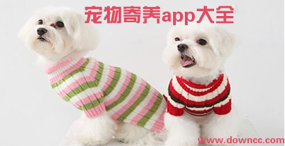 寵物寄養(yǎng)app哪個好?寵物寄養(yǎng)app推薦排行-家庭寵物寄養(yǎng)軟件