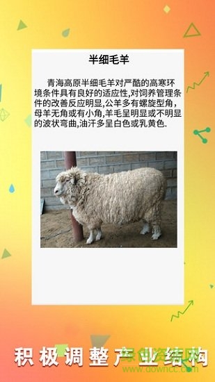 羊場專家 v1.10 安卓版 0