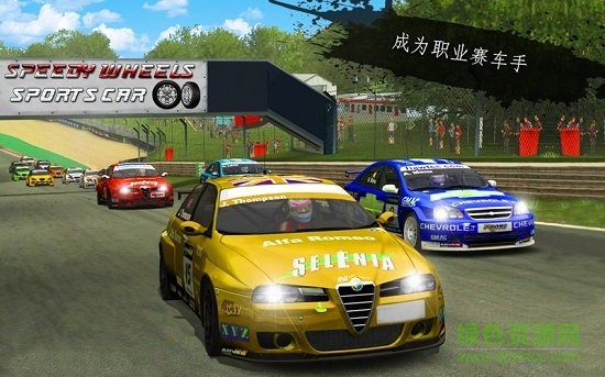拉力賽狂怒3D(Rally Racer Fury 3D) v1.0.4 安卓版 1