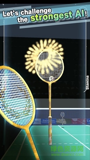 羽毛球比賽(Badminton)1