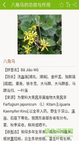 中醫(yī)藥寶典大全官方版 v0.8 安卓版 1