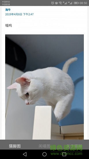 貓腳(寵物社交) v2.0.2 安卓版 0