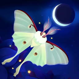 蝴蝶之星夜手游