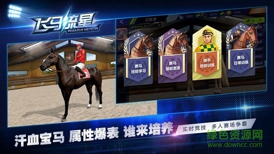 飛馬流星游戲1