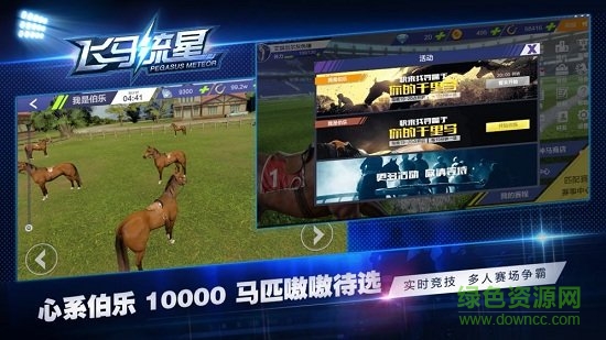飛馬流星游戲2