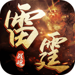 雷霆戰(zhàn)魂游戲