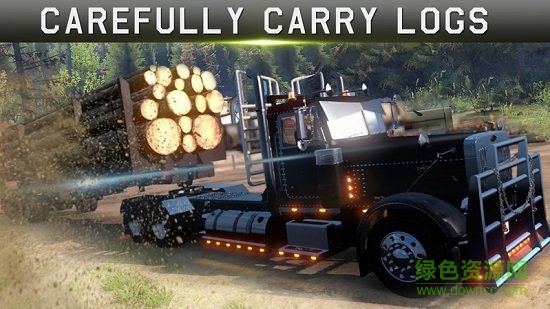3d貨車駕駛模擬器(car go truck) v2.0.3 安卓版 0