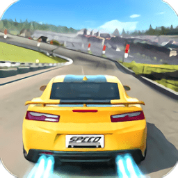 瘋狂的賽車3d無限金幣氮?dú)?Crazy Racing Car 3D)