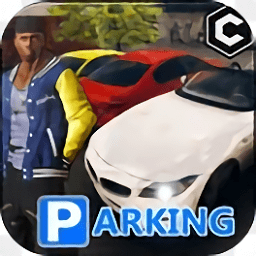 真實(shí)停車王ios手游