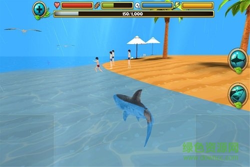 鯊魚(yú)進(jìn)化模擬器無(wú)限金幣版 v1.1 安卓?jī)?nèi)購(gòu) 0