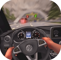 POV汽車駕駛中文