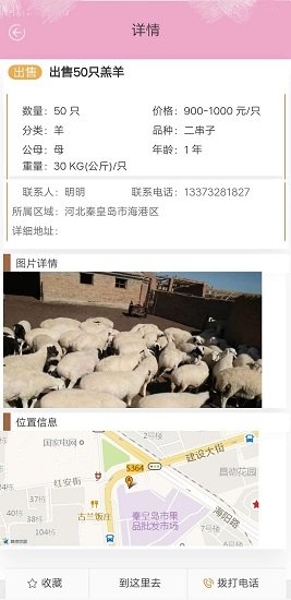 青青草原安卓版