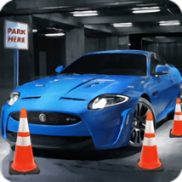 停車駕駛模擬器中文版