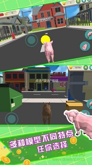 飛天火箭豬寶貝同盟
