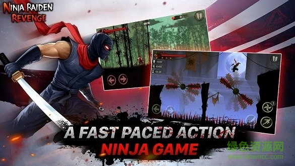 忍者之雷復(fù)仇內(nèi)購(Ninja Raiden Revenge) v1.3.4 安卓版 1