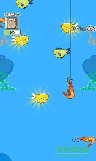 喵喵水族箱手游下載