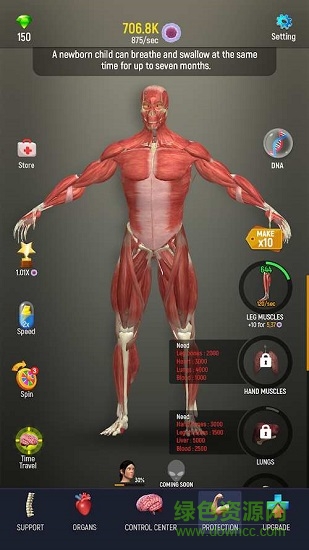 人體模型 v1.0 安卓版 0