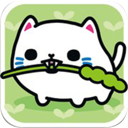 曼切君
