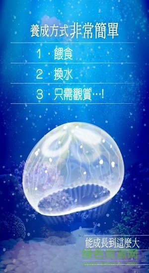 海蜇養(yǎng)成 海蜇養(yǎng)成游戲下載