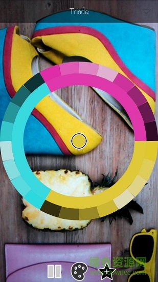 實時調(diào)色板live palettes v1.49 安卓版 0