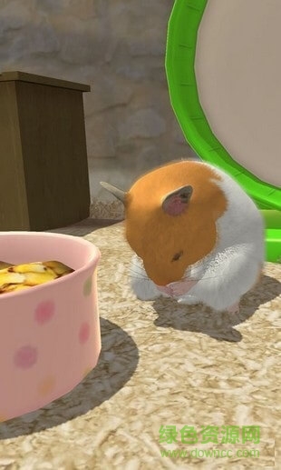 小小倉鼠中文版(我的倉鼠) v1.0.3 安卓版 0