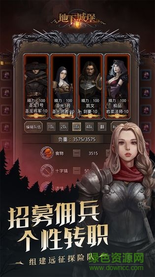 dungeons3手游 v1.0272 安卓版 0