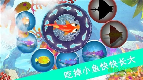 鯊魚風(fēng)暴手游 v1.1.5 安卓版 0