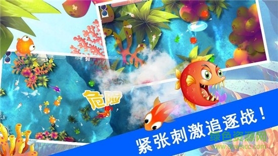鯊魚風(fēng)暴游戲下載