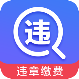 查違章12123