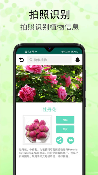 識花草 v1.3.1 最新版 0