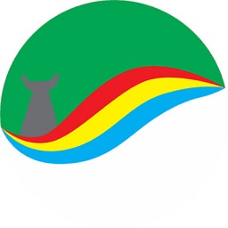 青海玉樹通
