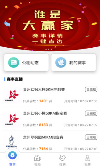 賽鴿助手手機版 v2.5.30 官方安卓免費版 3