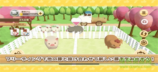 養(yǎng)豬場3d官方版(ようとん場3D) v1.0.8 安卓版 0