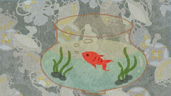 魚悠悠養(yǎng)成計劃 魚悠悠養(yǎng)成計劃手游下載