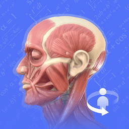 人體3D解剖圖譜手機版