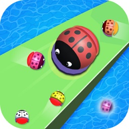 瓢蟲決戰(zhàn)battle ladybug(與瓢蟲戰(zhàn)斗)